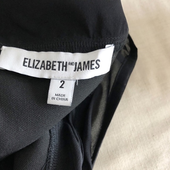 Elizabeth & James Black Fit & Flare Mesh Dress - Picture 2 of 10